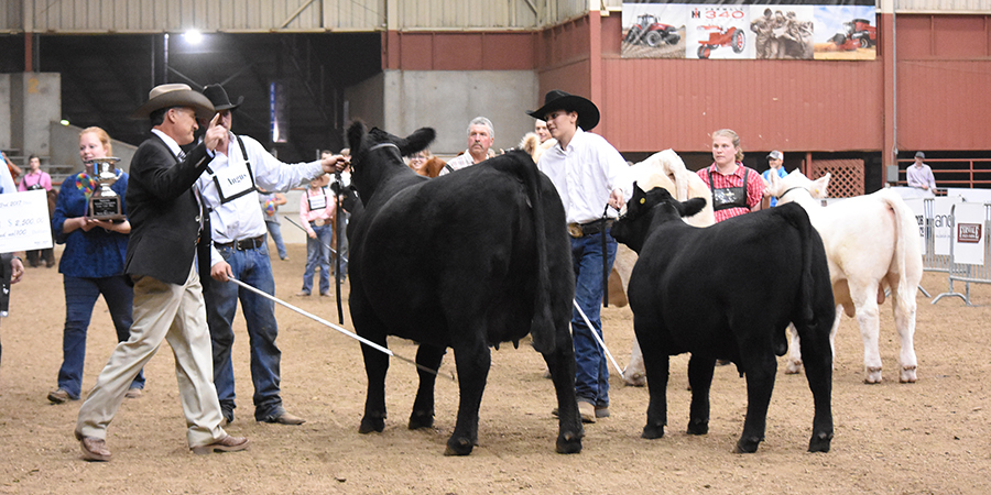 National Western Stock Show, Super ROV Angus Show – Overall Females